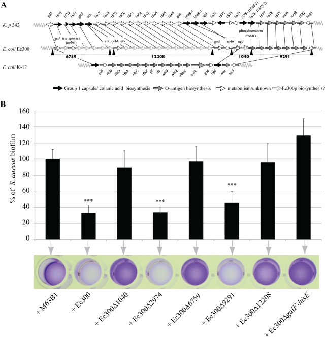 FIG 3 