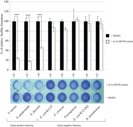 FIG 2 