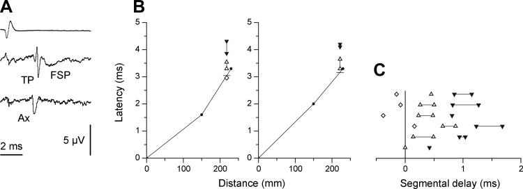 Fig. 3.