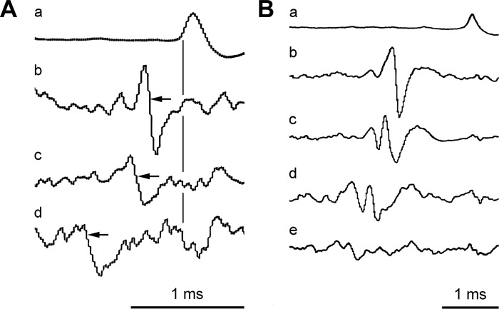 Fig. 4.