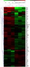 Figure 27