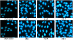 Figure 23