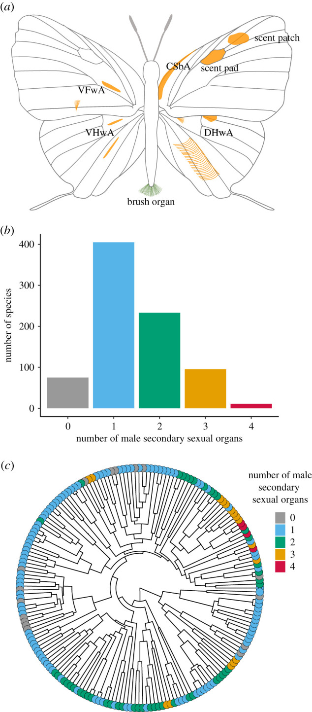 Figure 2. 