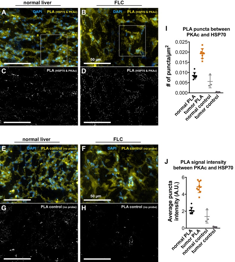 Figure 1—figure supplement 3.