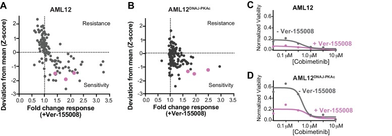 Figure 3—figure supplement 1.