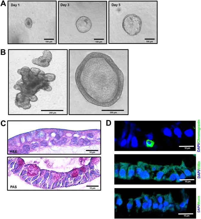 FIG 9