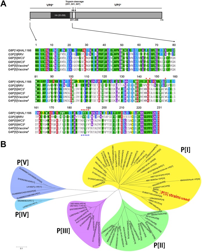 FIG 1