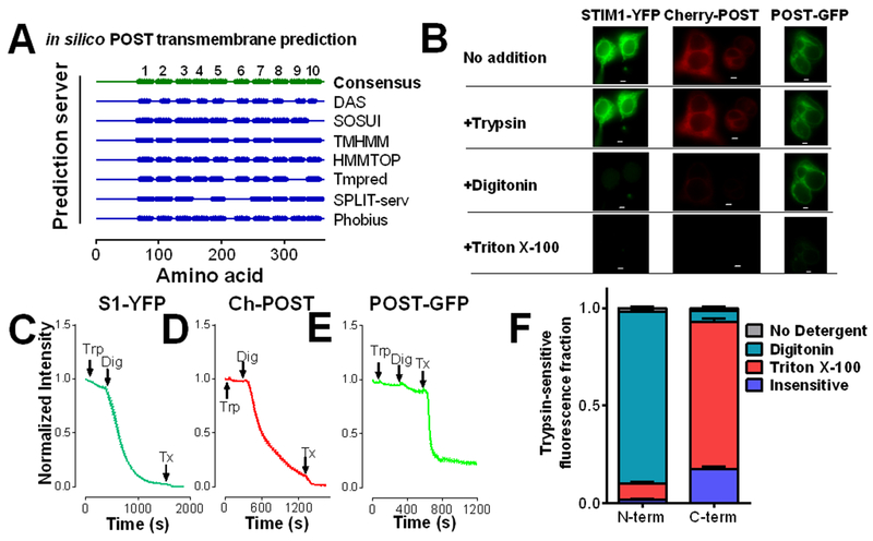 Figure 4: