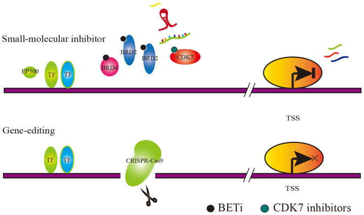 Figure 2.