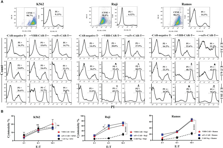 Figure 5