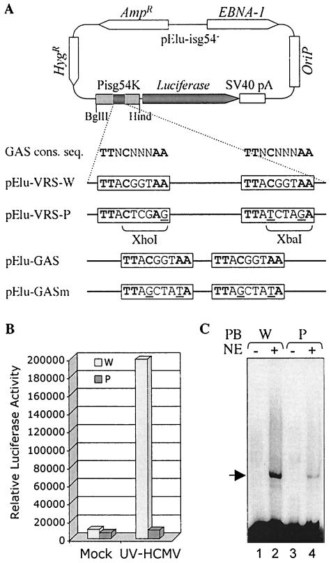 FIG. 4.