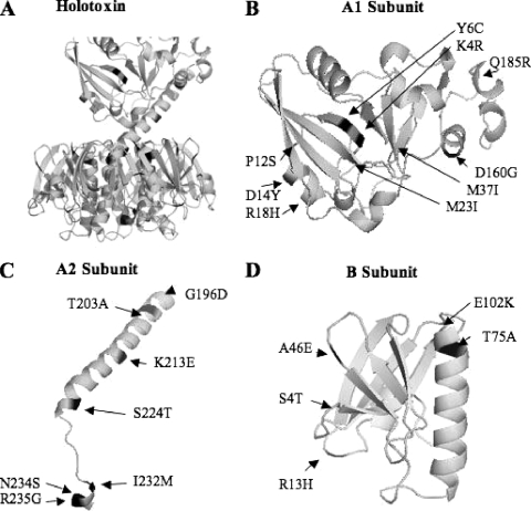 FIG. 2.