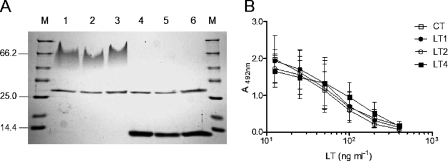 FIG. 5.