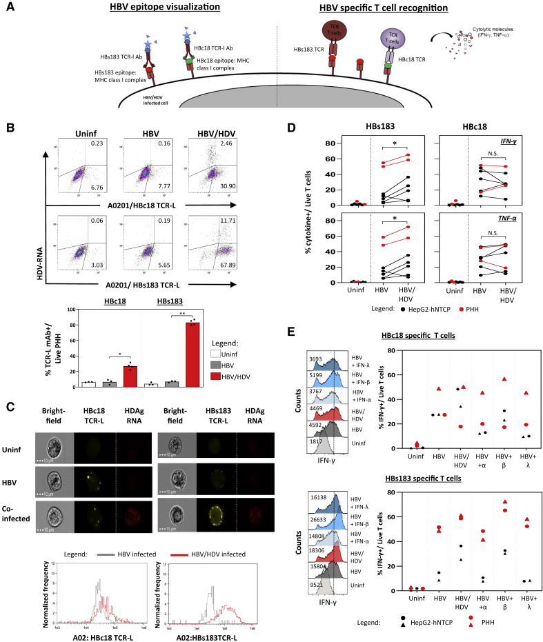 Figure 4