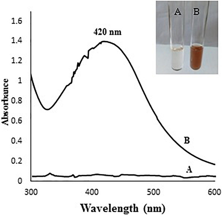 FIGURE 1