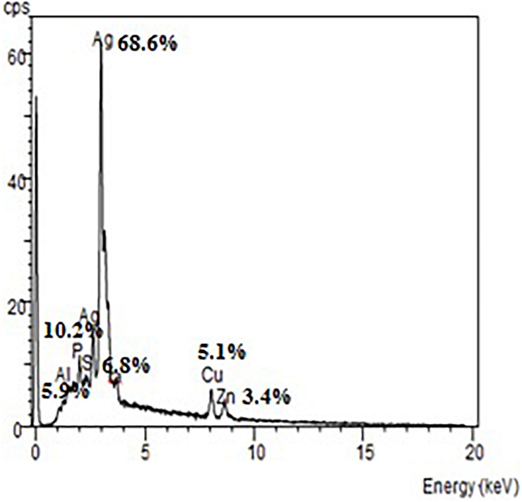 FIGURE 7