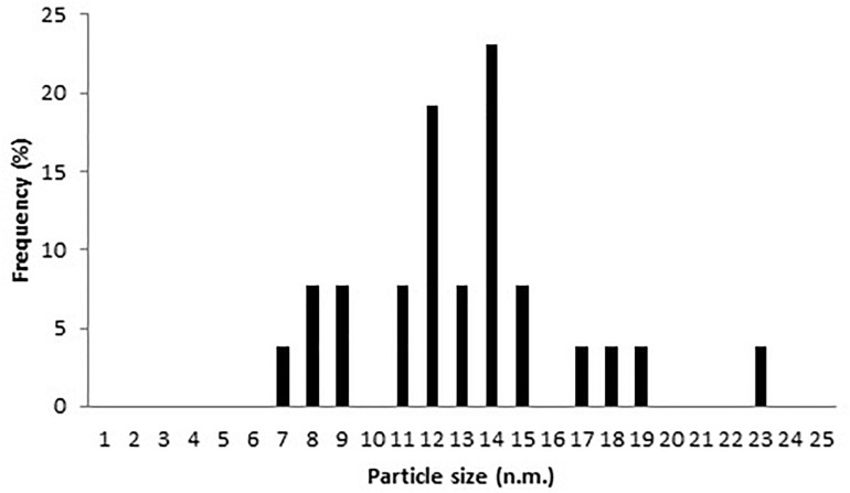 FIGURE 5