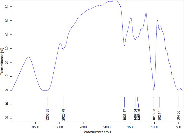 FIGURE 10