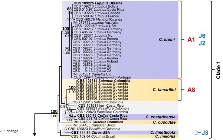 Fig. 1.