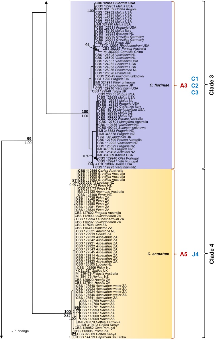 Fig. 1.