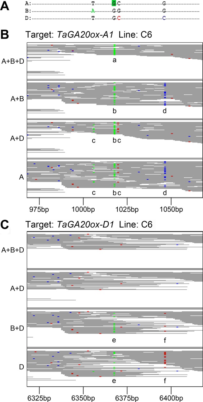 Fig 4