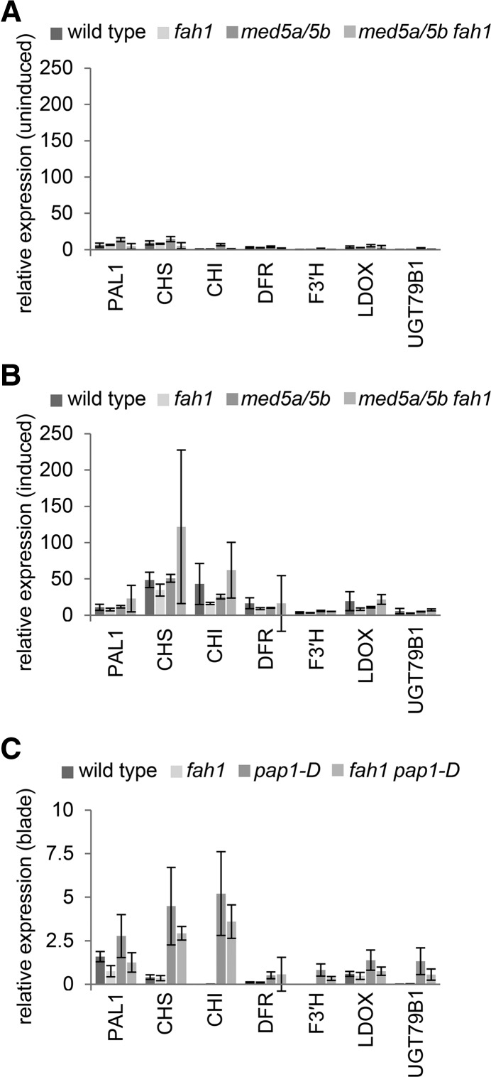 Figure 6.