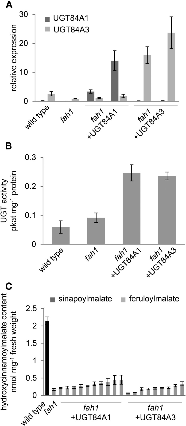 Figure 3.