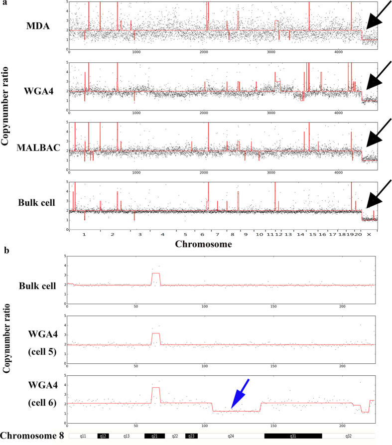 Figure 6