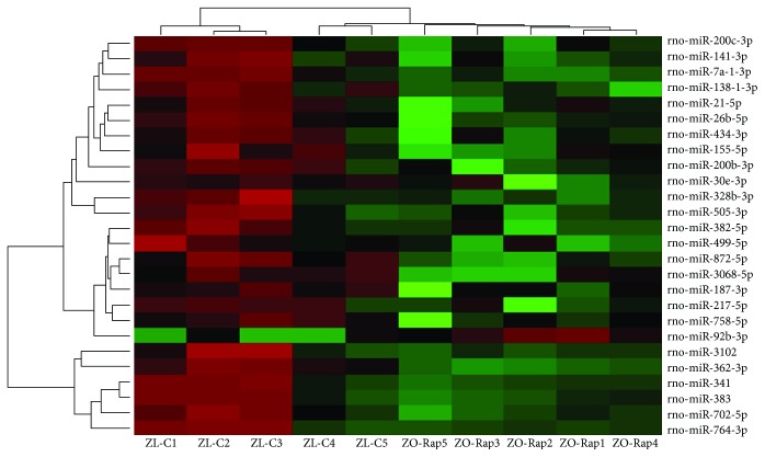 Figure 6