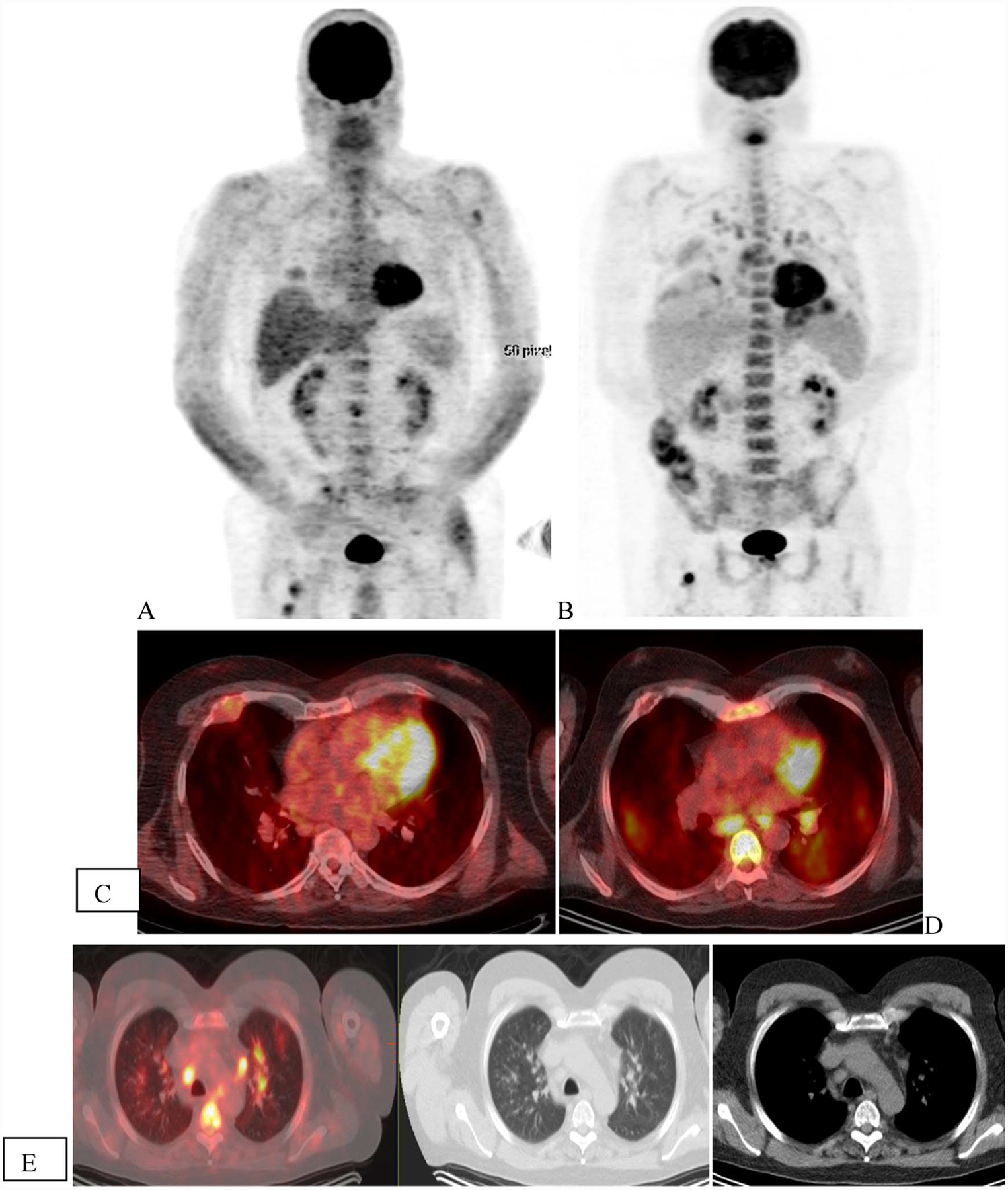 Fig. 5.