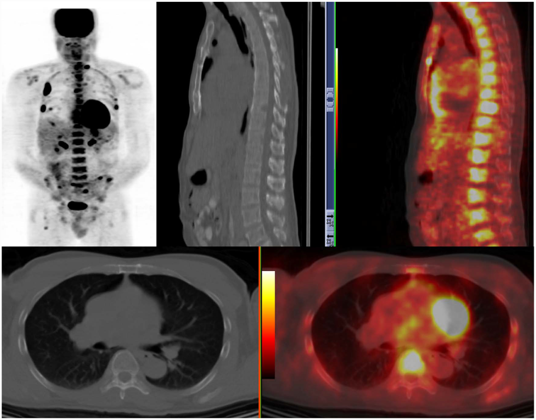 Fig. 1.