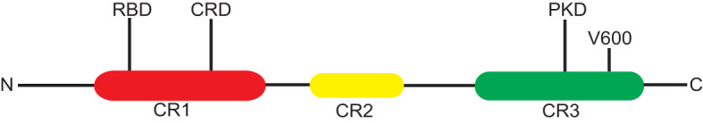 Figure 2