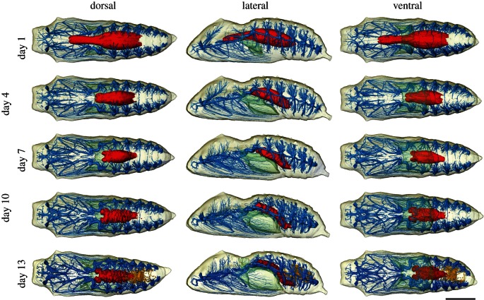 Figure 2.