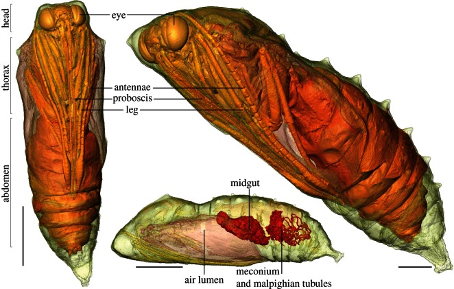 Figure 3.