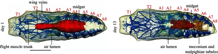 Figure 1.