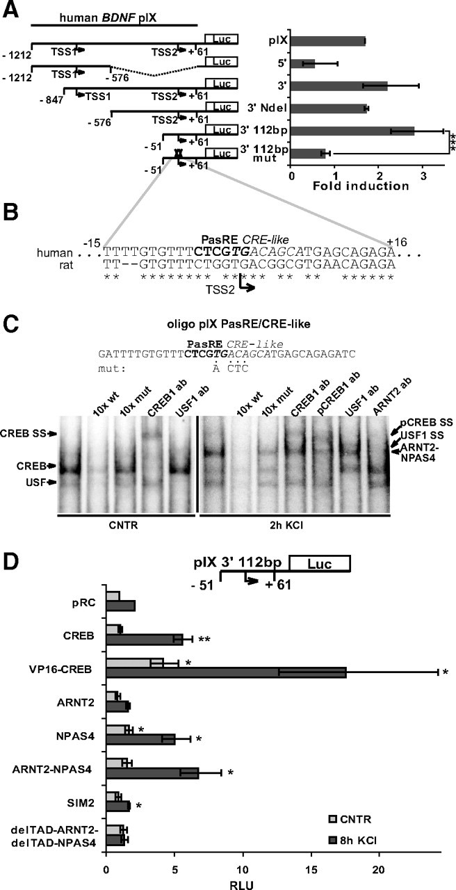 Figure 5.