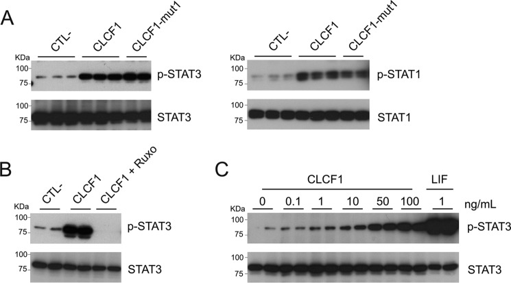 Figure 2.