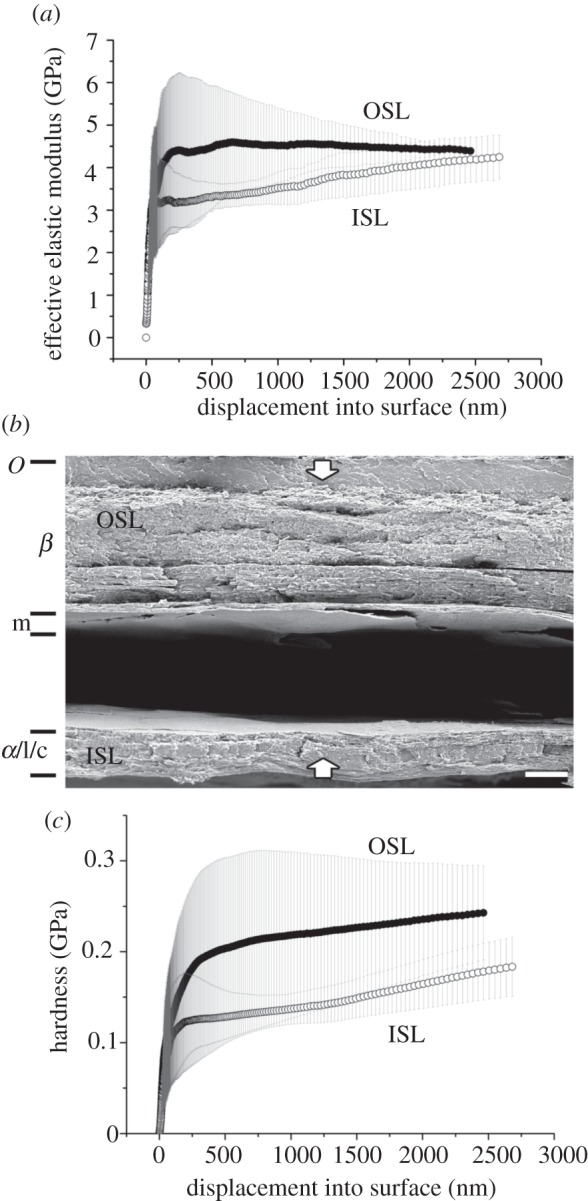 Figure 6.