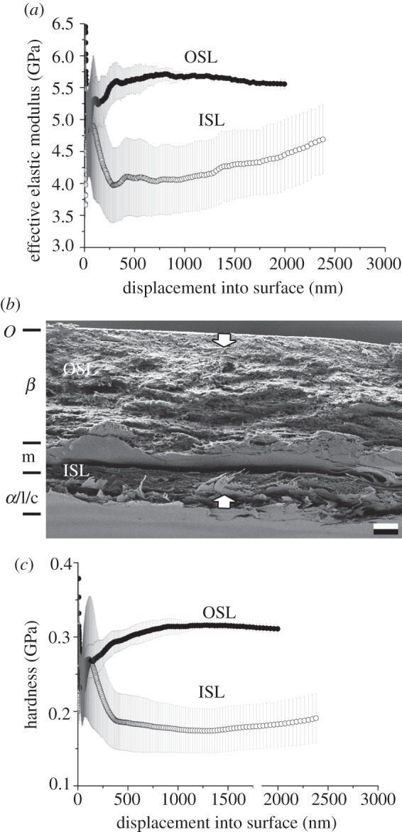 Figure 5.