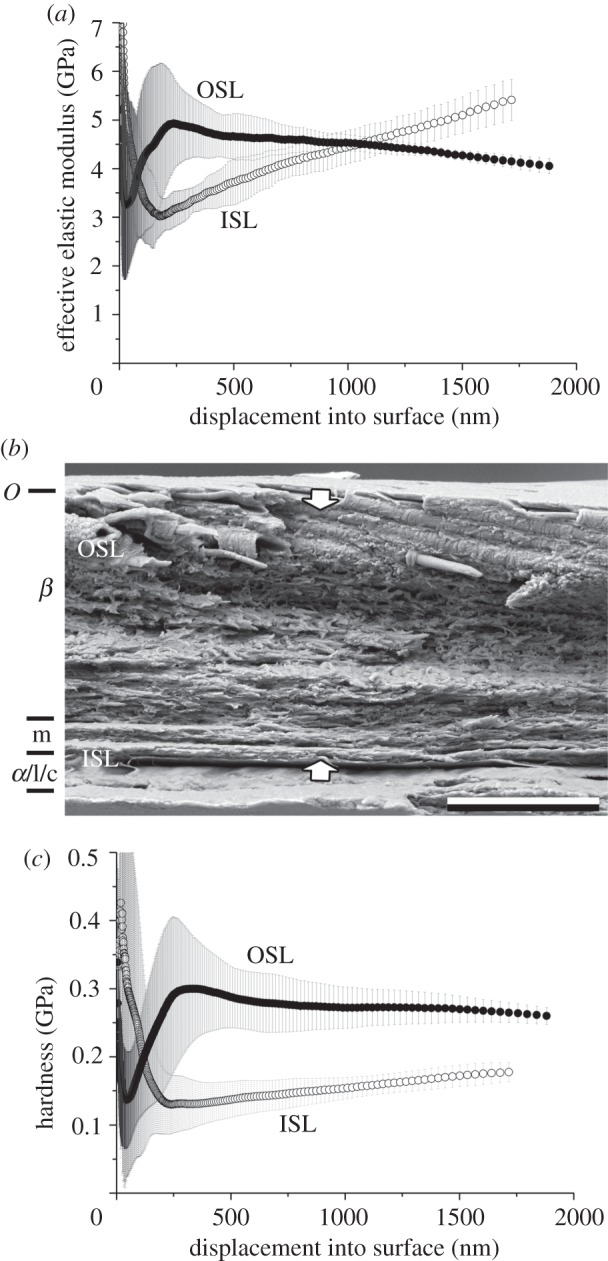 Figure 4.