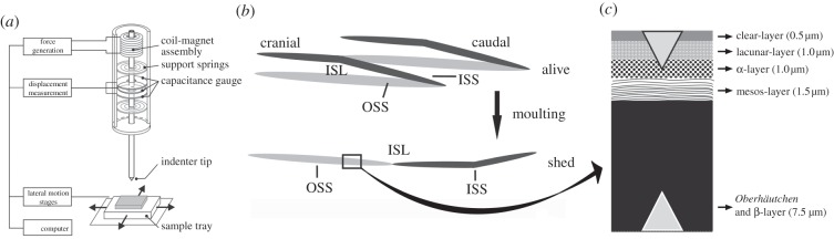 Figure 1.