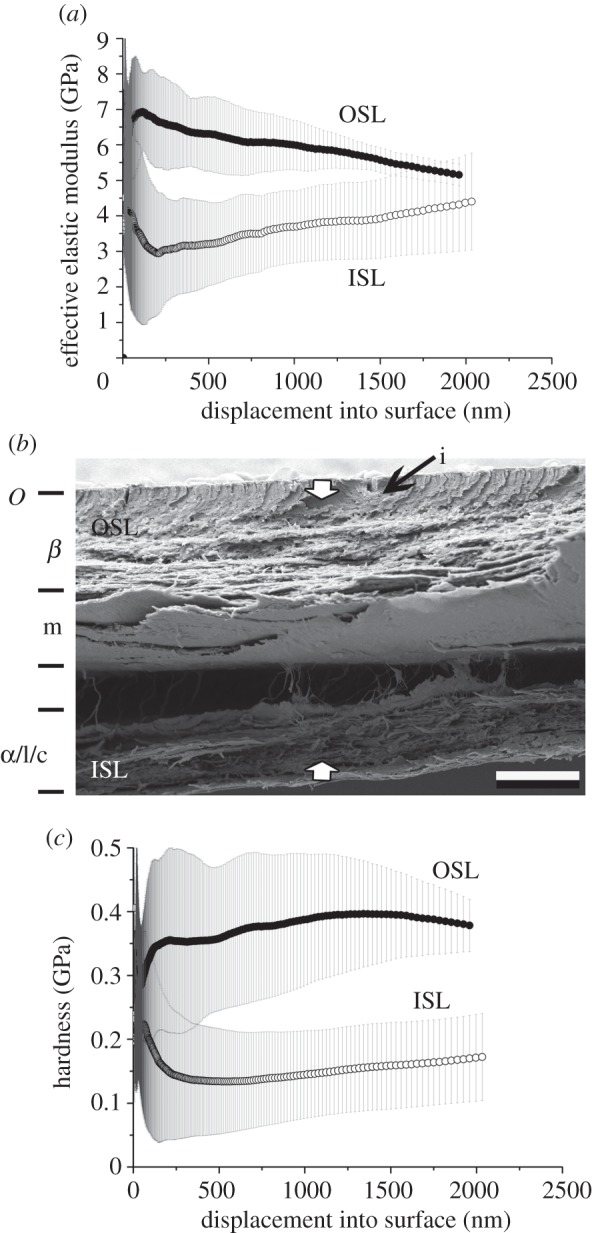 Figure 3.