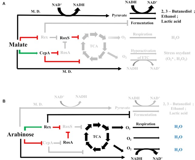 Figure 9.