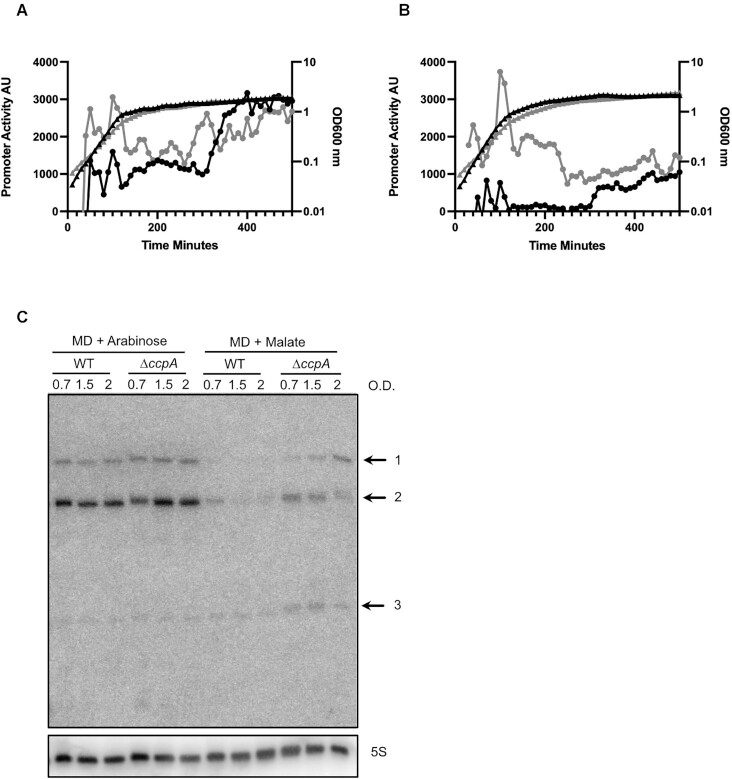 Figure 4.