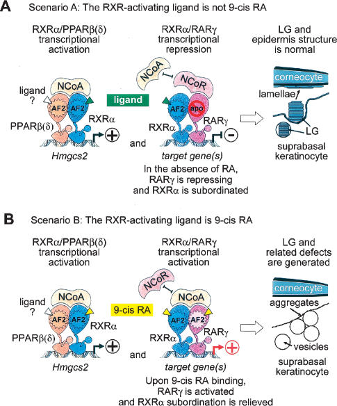 Figure 7.