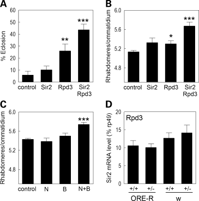 Figure 3.