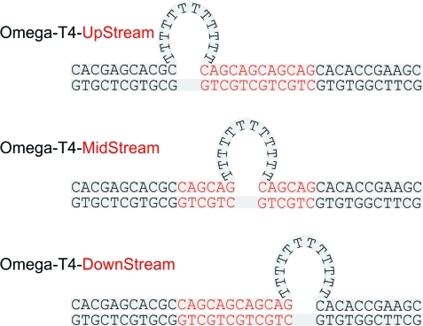 Scheme 3