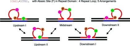 Scheme 4