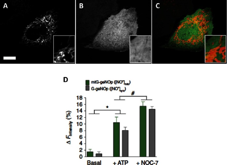 Figure 6.