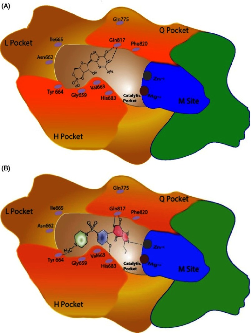 Figure 7.